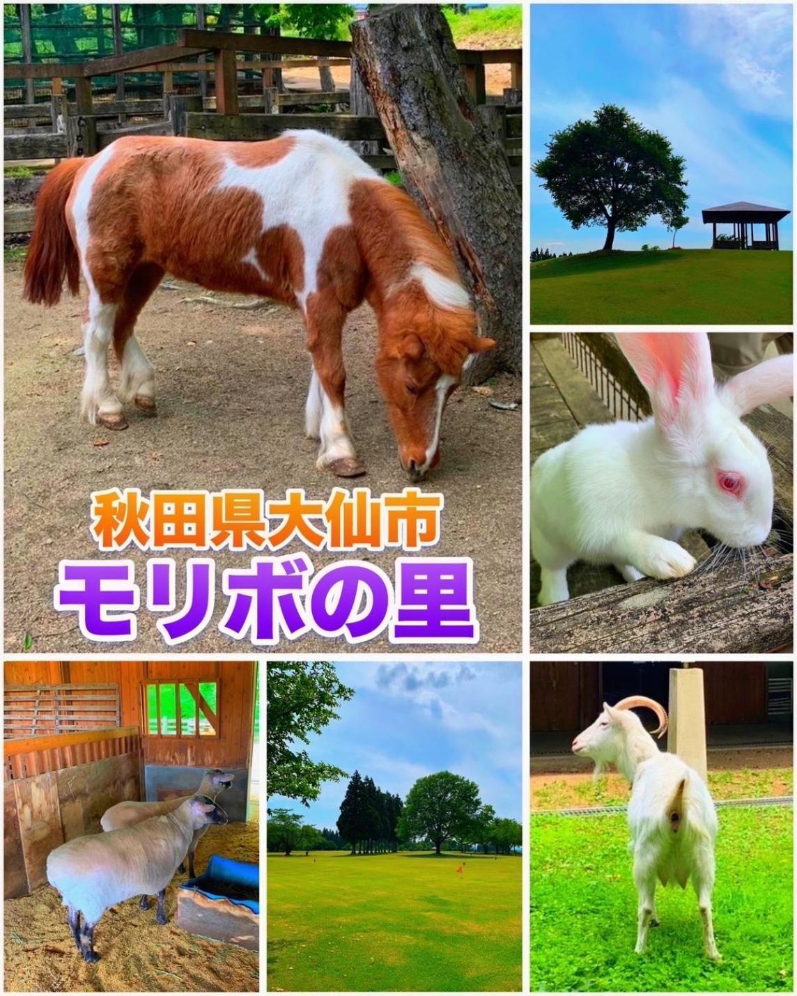 Hotel Dolphia-Adult Only 大仙市 エクステリア 写真