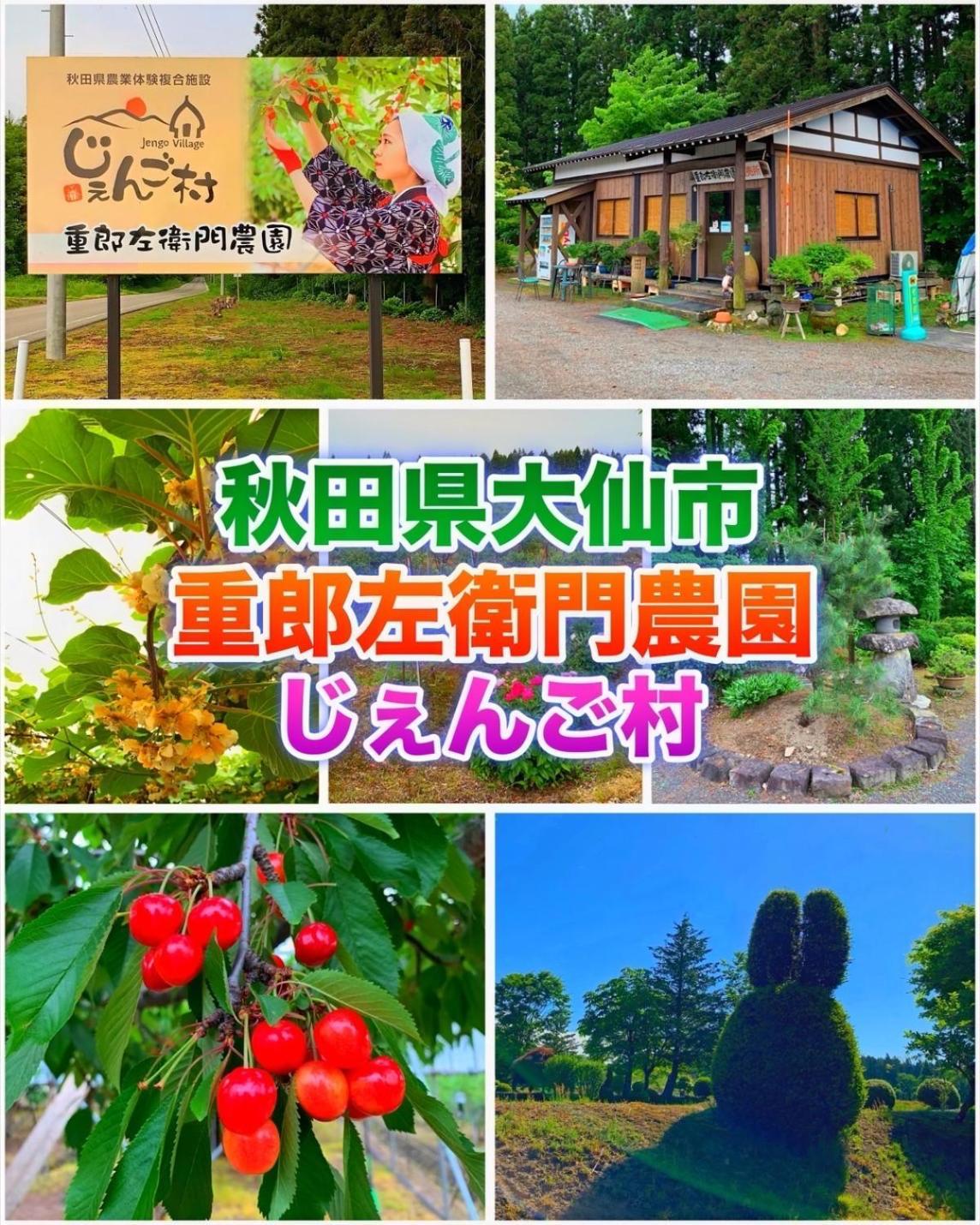 Hotel Dolphia-Adult Only 大仙市 エクステリア 写真