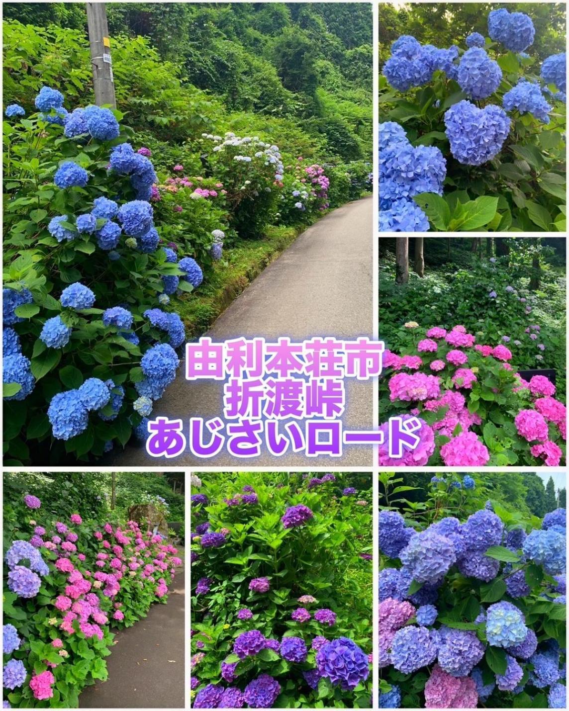 Hotel Dolphia-Adult Only 大仙市 エクステリア 写真