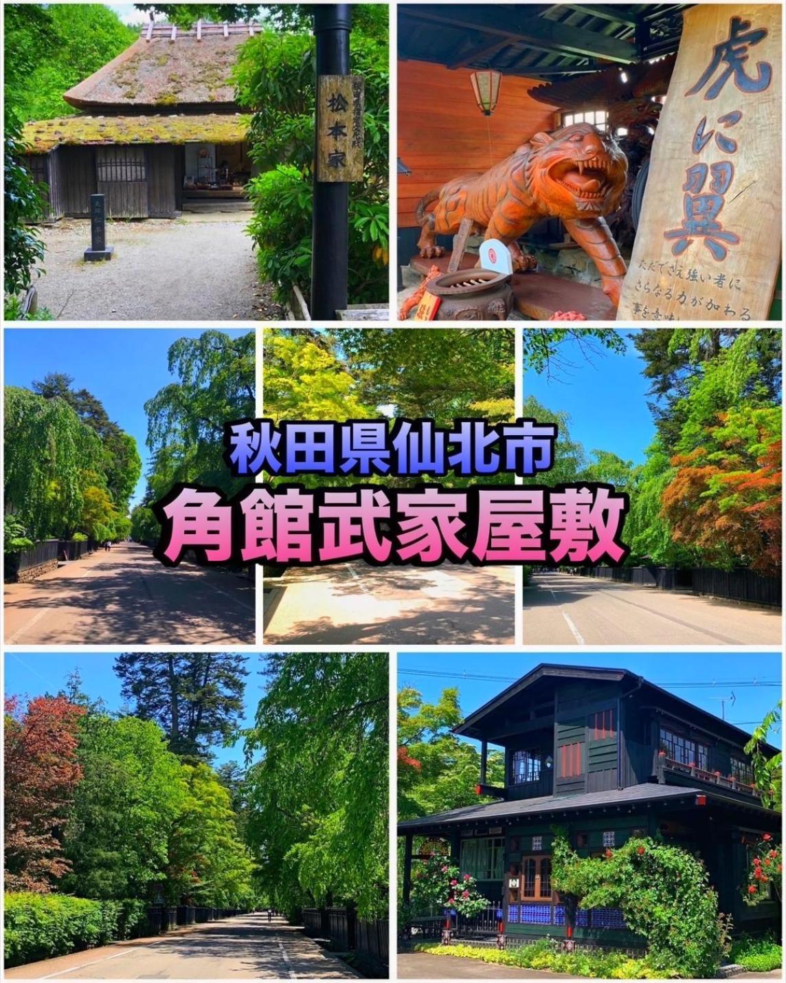 Hotel Dolphia-Adult Only 大仙市 エクステリア 写真