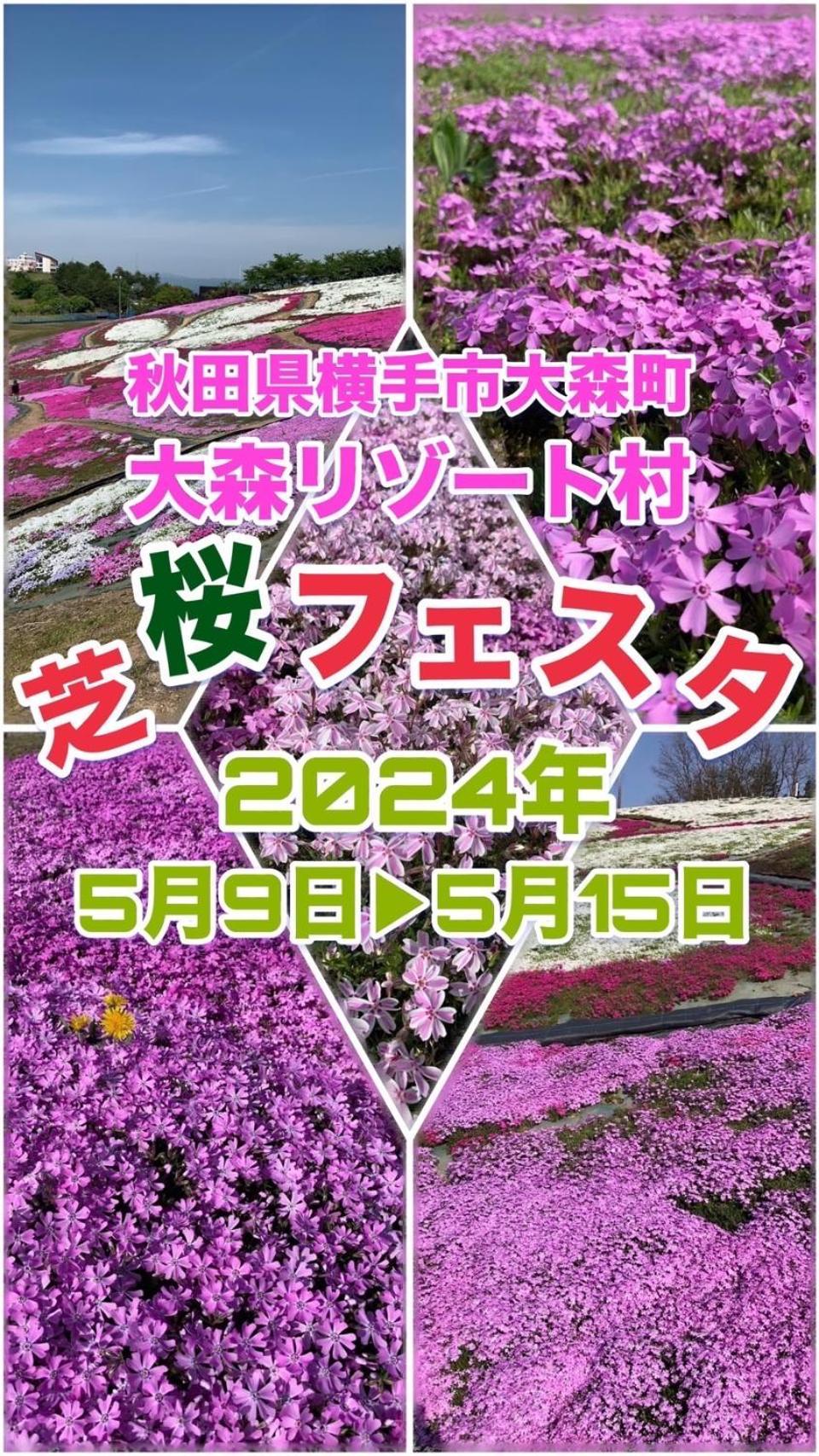 Hotel Dolphia-Adult Only 大仙市 エクステリア 写真